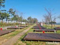 IFEZ, 인천송도국제캠핑장 재개장