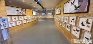 영암곤충박물관, 2021 박물관 길 위의 인문학 ‘곤충문진제작교실’ 프로그램 운영