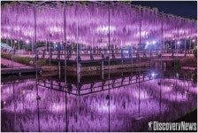 일본 도부철도, 봄꽃 가득한 아시카가(足利)로 떠나는 봄꽃순례티켓 선봬