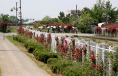 서천군, 황금의 도시, 장항! 향미미션여행 운영