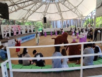 속초시 시립박물관 일요 작은 콘서트 개최