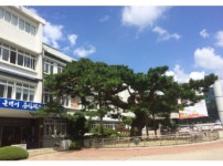 장수군 와룡자연휴양림‘유아 숲 놀이터’ 본격 조성