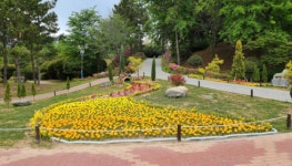 창원시, 창원수목원으로 꽃 구경 오세요.