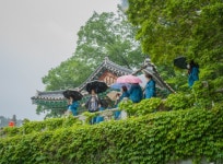 김제시, 전라북도 투어매니저들 김제시티투어버스 타고 즐거운 김제 여행