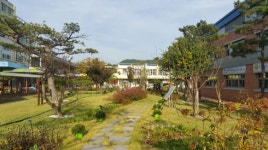 운동장을 숲속학교로, 변신을 위한 첫걸음