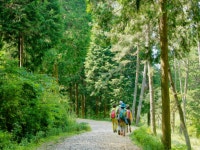 고성군, 6월부터 갈모봉산림욕장을 자연휴양림으로 조성 착수