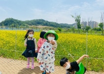 물길따라 거니는 여름,  시흥시, 장현천 산책로 일부 개방 ‘유채꽃 활짝’
