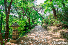 스카이스캐너, 올 여름휴가 걷기 좋은 트레킹 코스 5선 추천