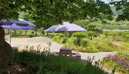 광양 사라실 라벤더 팜, 보랏빛 색채와 향기 물씬