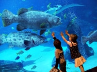 충주민물생태체험관 건립 용역 착수보고회