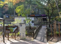 올여름, 구곡폭포 힐링캠핑장으로 가자!