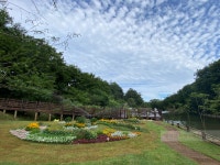 속초시, 설악산 자생식물원 여름맞이 새단장