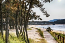 무안 해제 송계 솔바람길 2021년 걷고 싶은 전남 숲길 선정