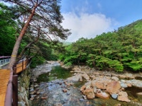 산청군, 대원사계곡길 등 여름철 산청 안심 관광지 5선