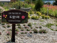 (포토) 신둔면 도암1리 마을 꽃길 조성