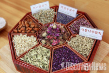 국내에서 사계절 피고 지는 별별 야생화 천국, 성주로의 랜선여행