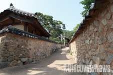 국내에서 사계절 피고 지는 별별 야생화 천국, 성주로의 랜선여행