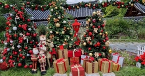 글로벌 MZ세대, 전주의 매력 만끽