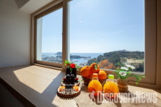 부킹닷컴, 세계 개의 날 맞아 국내 펫프렌들리 숙소 6선 소개