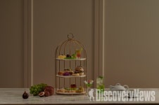 롯데호텔 서울, 2021 머스트 비 샤인머스캣 진행