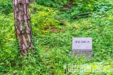 서울관광재단, 동대문구와 함께 이색적인 매력을 가진 동대문구 시장투어 소개