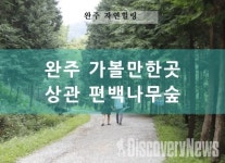 (여행기획) 완주의 힐링여행 스폿, 피톤치드 가득 상관 편백나무숲으로의 랜선여행