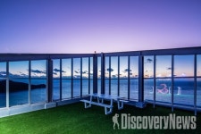 더위크앤리조트, 펫팸족 성지로 최종 선발 ... 구해줘! 숙소 인천 바다멍멍 리조트