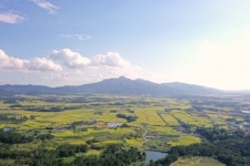 영암군, 일상회복 추진단 구성위드코로나 첫삽을 뜨다