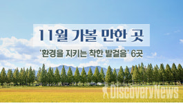 11월엔 어디로 떠나볼까… 환경을 지키는 국내여행 6선 소개