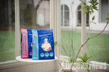 펫몽 회사와 임직원들, 수년간 유기견•유기묘 보호시설에 물품 후원 지속