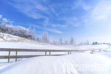 [포토] 겨울왕국 속으로... 대관령 양떼목장
