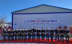 농협, 비대면 스마트 가축시장 경매 플랫폼 추진