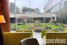 메종 글래드 제주, 더 라운지 오픈 및 글래드 풀캉스.. 친환경과 제주의 맛