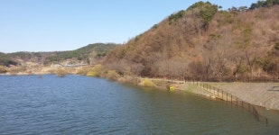 서천군 봉선지 물버들 수선화 둘레길 산책 명소로 각광