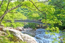 경남 산청, 신록의 계절 산청서 즐기는 푸르름을 즐기다