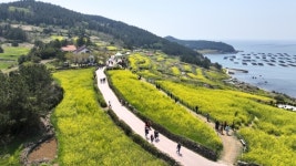 완도 청산도 슬로길, 신지 명사십리 안심 관광지 선정