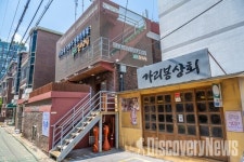 서울관광재단 X 금천문화재단, 안양천 꽃길 따라 커피 한잔하면서 떠나는 금천구 여행