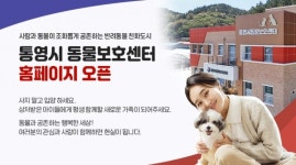 통영시 동물보호센터 공식 홈페이지 오픈