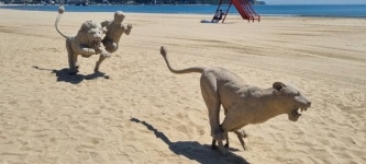 본격 여름철 개장 앞둔 포항시 해수욕장, 다양한 체험행사로 활기