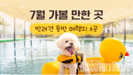 7월에  국내 가볼 만한 곳…반려견 동반 여행지 6선