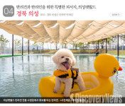7월에  국내 가볼 만한 곳…반려견 동반 여행지 6선