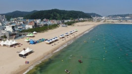 깨끗하고 안전한 울진군 해수욕장 7월 15일 개장