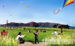 샌프란시스코의 새로운 명소, 프레시디오 터널 톱스 공원 개장.. 골든게이트 브리지 전망