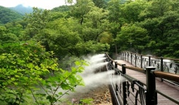 산청 대원사계곡길 쿨링포그로 더위 날려요