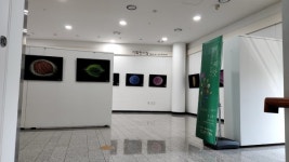 여주 황학산수목원 산림박물관, 씨앗, 아름다움에 반하다