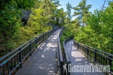 서울관광재단 X 관악문화재단, 신림선 타고 관악구로 가족 피서 가는길.. 물놀이부터 전시까지