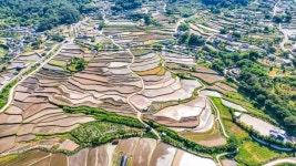 하늘에서 바라본 함안 여항면 주서리 다랑이 논