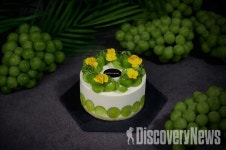 롯데호텔 서울, 머스트 비 샤인머스캣 프로모션 실시