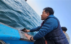 인천수산자원연구소, 옹진 백령 해역에 어린 참담치 18만마리 방류