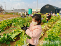 서울시, 서울 근교 14곳 5,900구획 친환경농장… 건강한 먹거리 직접 생산 기회 제공